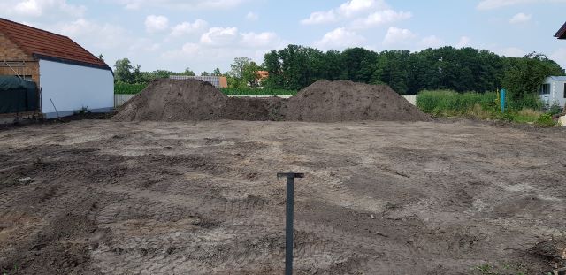 Bild Rodung, Grundstückvorbereitung